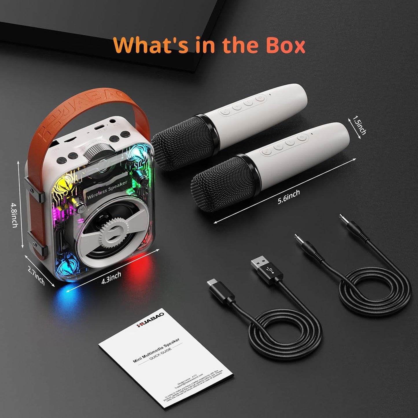Mini Karaoke Machine A111