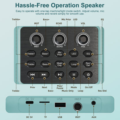 HUABAO A121 Karaoke Machine with 2 Wireless Microphones, Portable Bluetooth Speaker with Mic, Compact Party Speaker with LED Lights, 30W Sound, 5400mAh Long Battery Life, AUX/USB/TF for Home & Outdoor