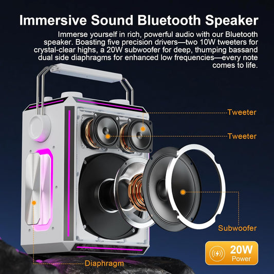 Portable Bluetooth Karaoke Speaker A110