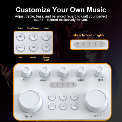 Portable Bluetooth Karaoke Speaker A110
